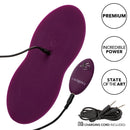 LUST Remote Control Dual Rider-Purple
