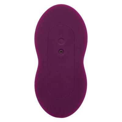 LUST Remote Control Dual Rider-Purple