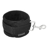 Under The Bed Restraints