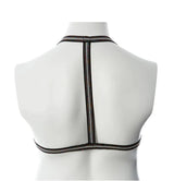 Gender Fluid Harness-Silver Lining L/XXL