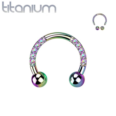 Earring: Titanium Rainbow Horseshoe