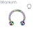 Earring: Titanium Rainbow Horseshoe