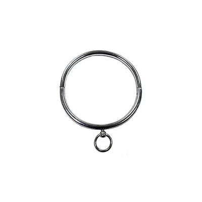 Rouge Stainless Steel O Ring Collar