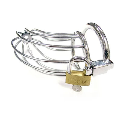 Rouge Stainless  Steel Chastity Cage with Lock