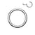 Earring: Surgical Steel Hinge Click Hoop