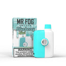 Mr Fog-Blueberry Kiwi