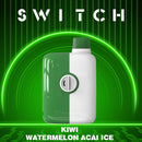 Mr Fog-Kiwi Watermelon Acai Ice