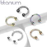 Earring: Titanium Rainbow Horseshoe