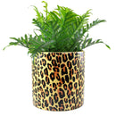 Planter: Sourpuss Leopard