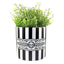 Planter: Sourpuss Poison