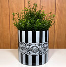 Planter: Sourpuss Poison